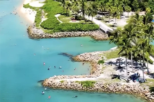 Coastal view of Jupiter, FL, with turquoise waters, swimmers, palm trees, rocky barriers, and a small bridge